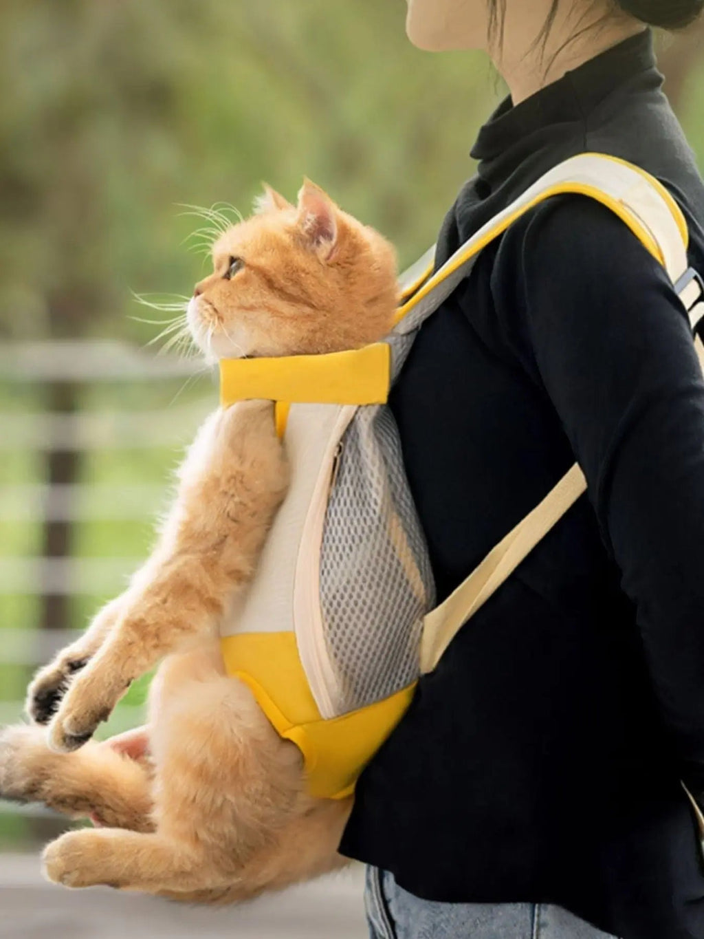 Breathable Pet Carrier Front Pack - we buy