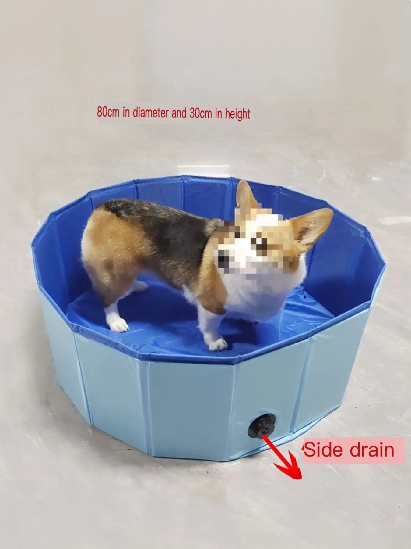 Foldable Pet Bath Pool with Side Drain - we buy
