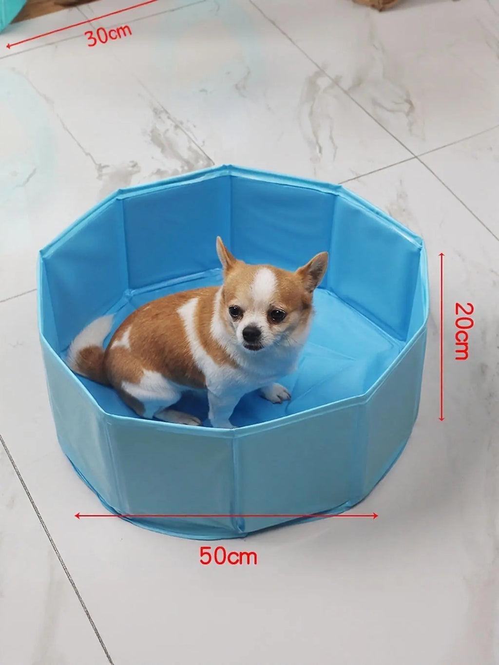 Foldable Pet Bath Pool with Side Drain - we buy