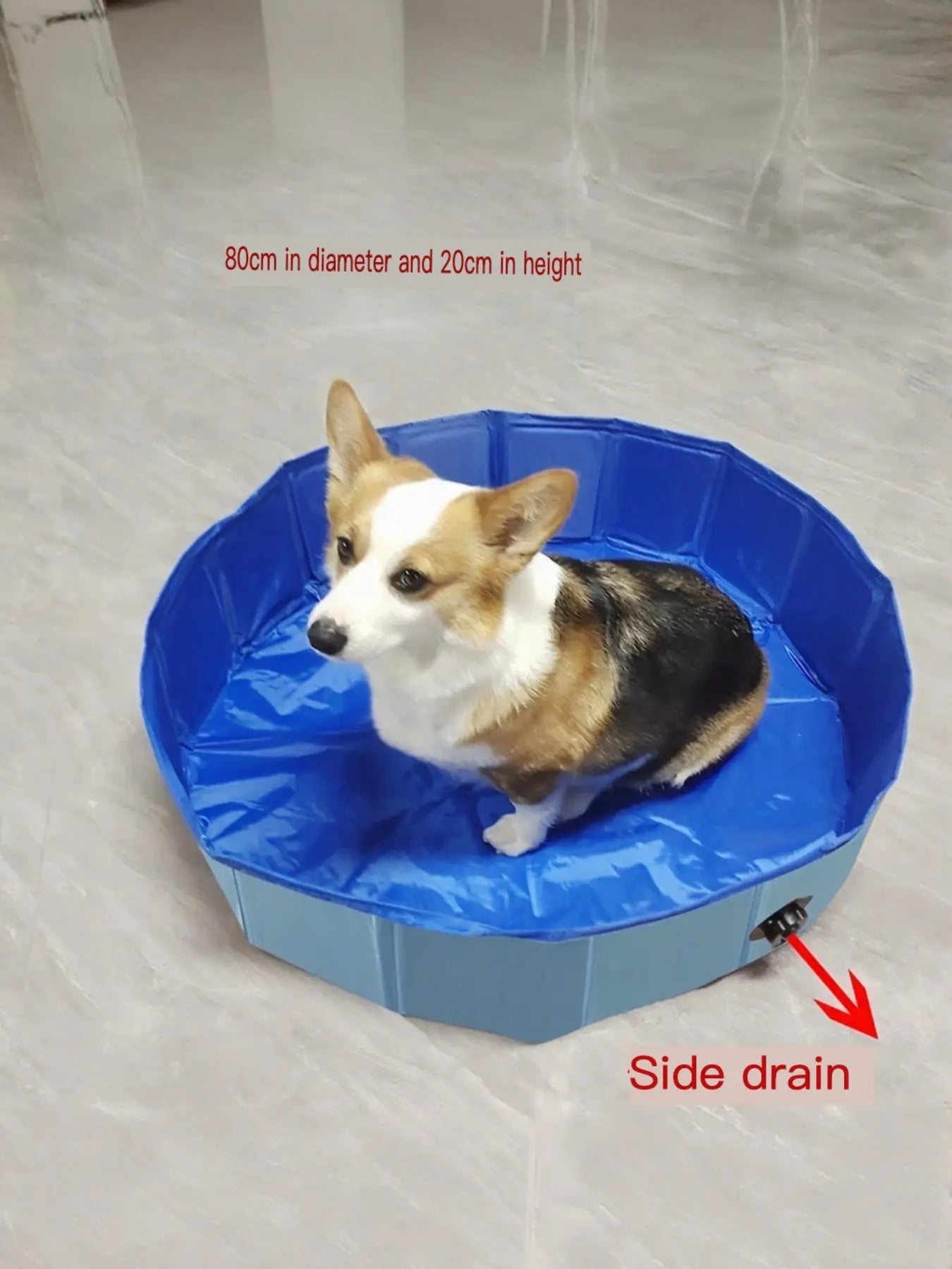 Foldable Pet Bath Pool with Side Drain - we buy