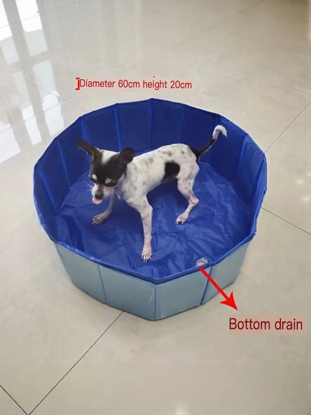 Foldable Pet Bath Pool with Side Drain - we buy