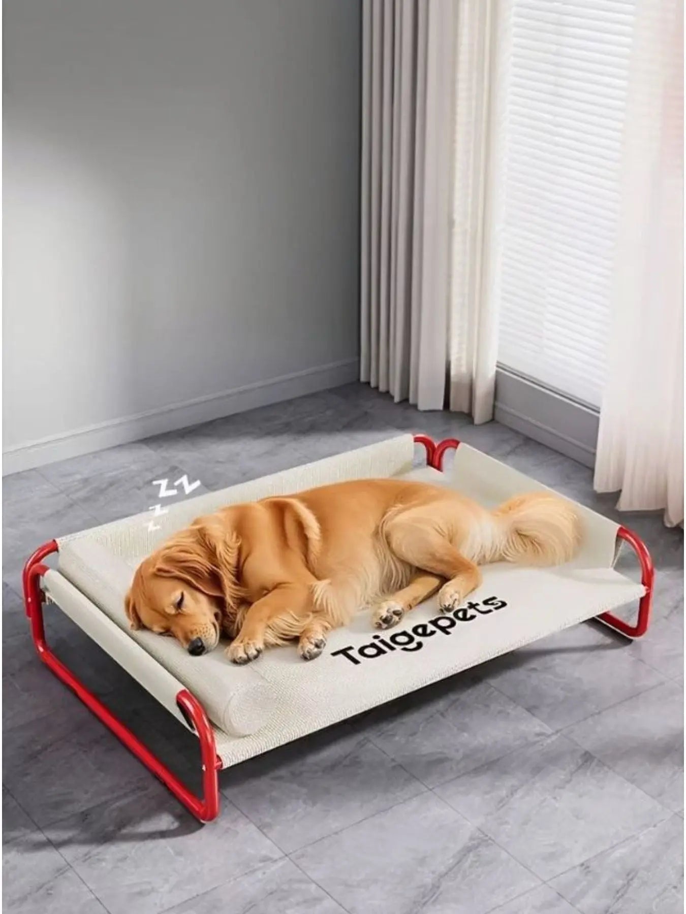 Foldable Pet Bed - we buy