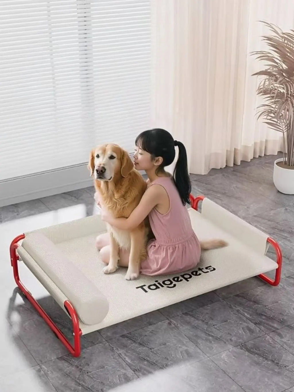 Foldable Pet Bed - we buy