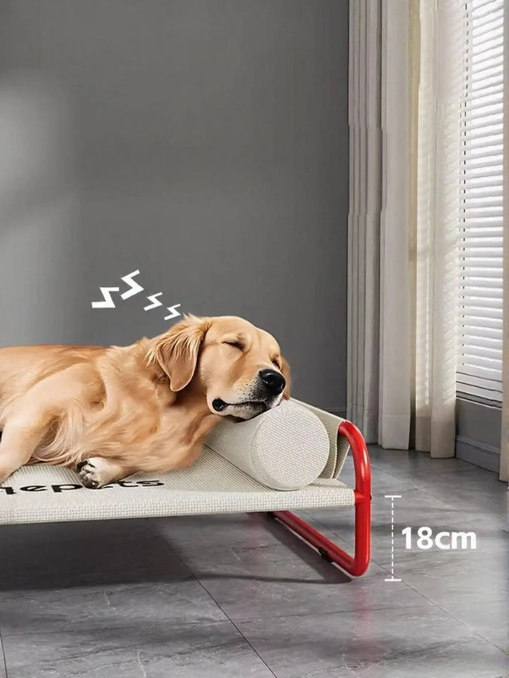 Foldable Pet Bed - we buy