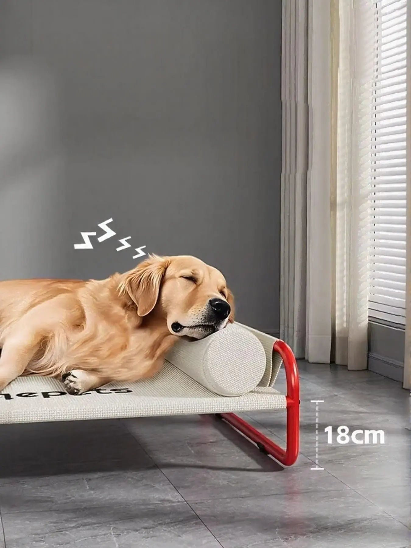 Foldable Pet Bed - we buy