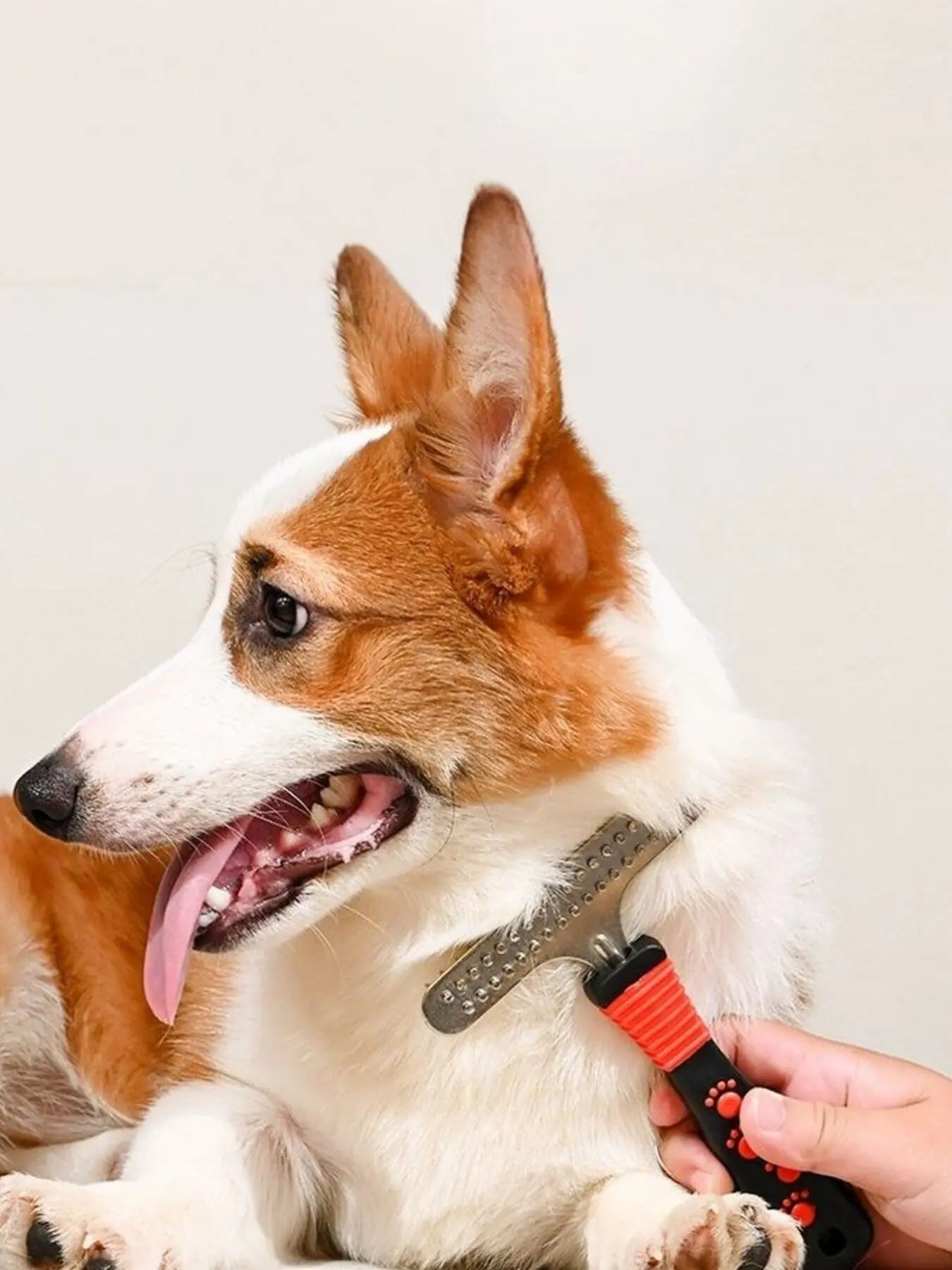 Portable Pet Hair Remover Comb - we buy