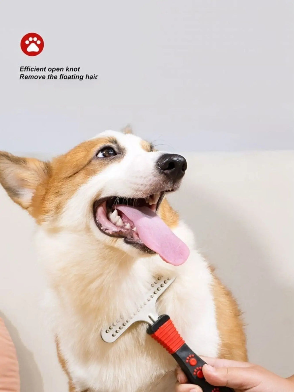 Portable Pet Hair Remover Comb - we buy