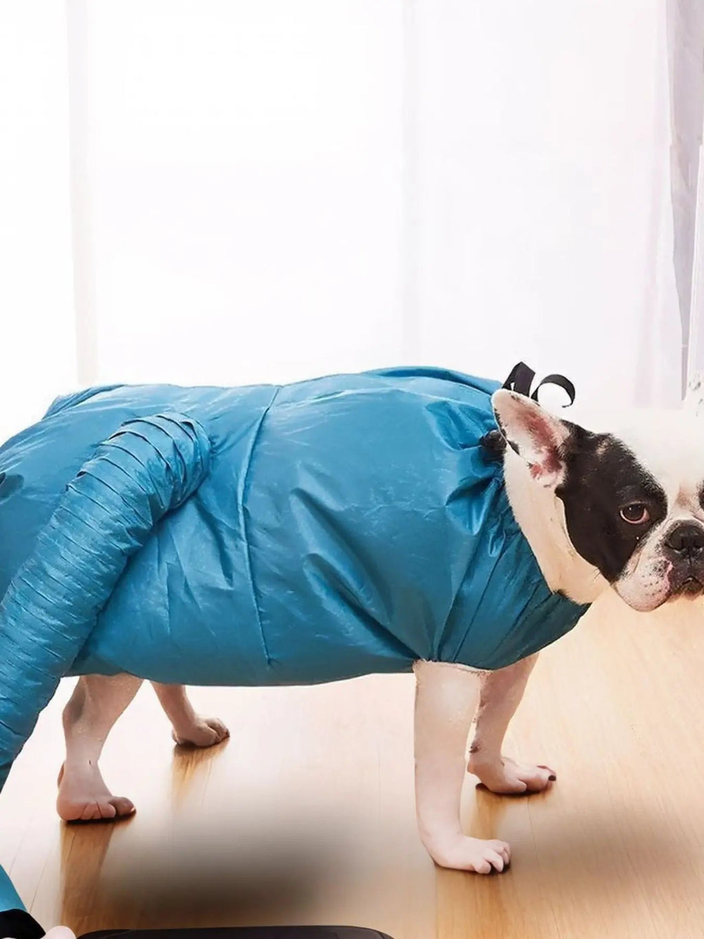 Portable Pet Quick Dry Bag - we buy