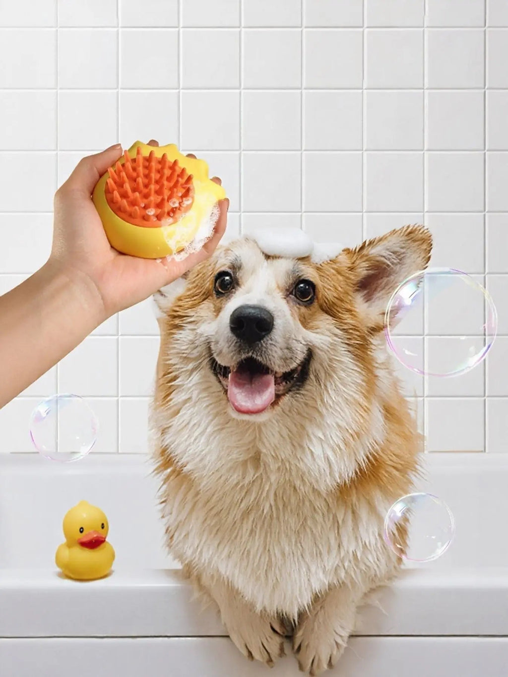 Soft Pet Shower Brush - we buy